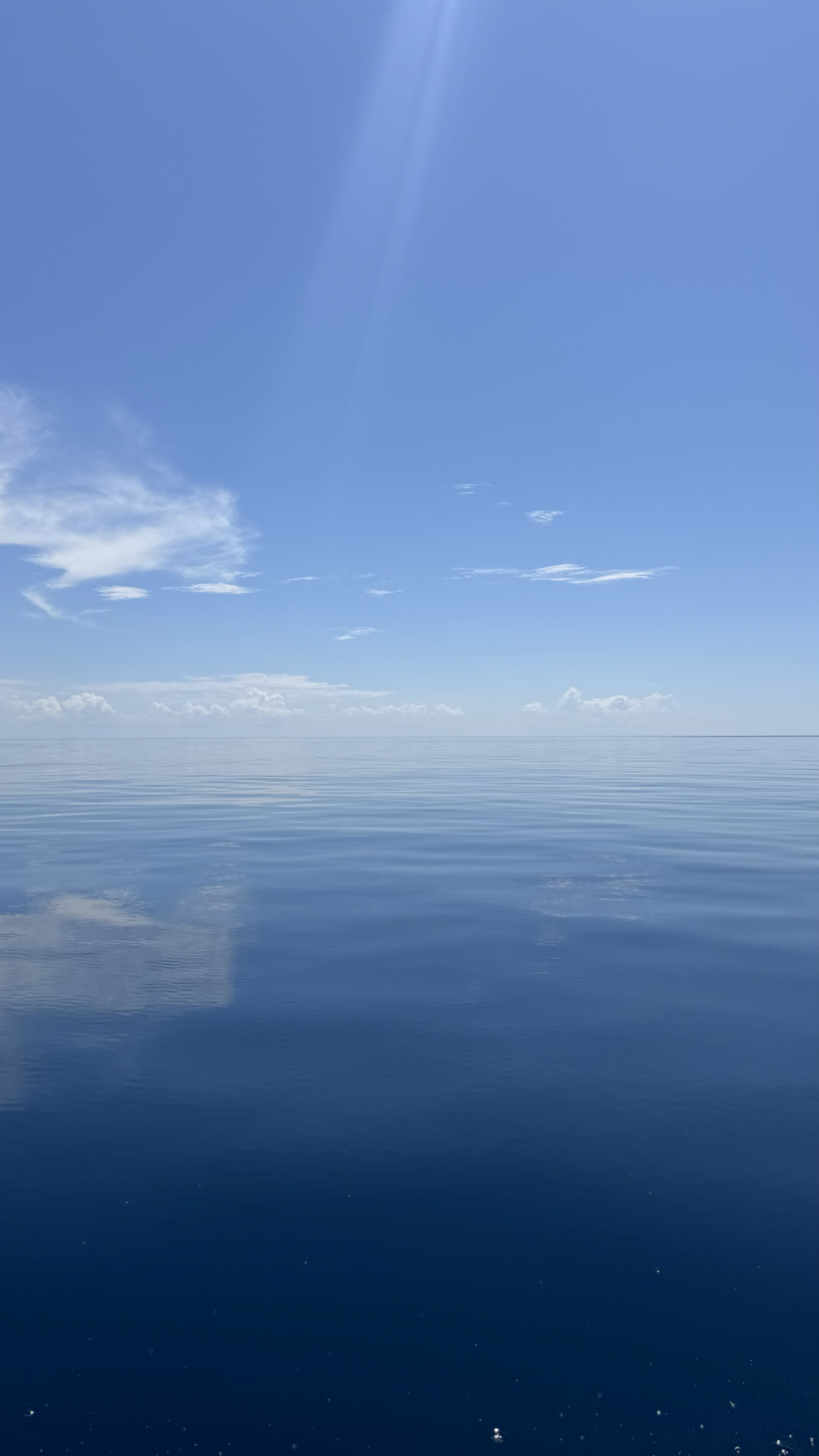 blue water Menjangan